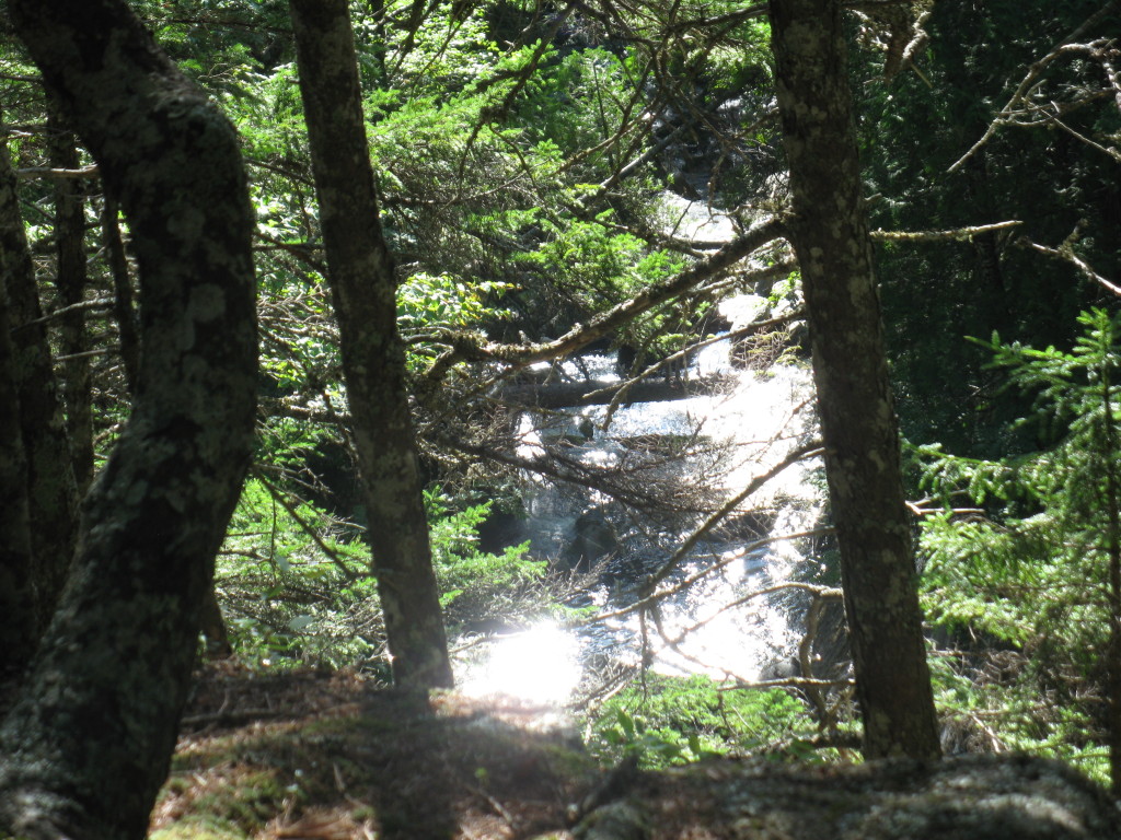 2016/03(March)/Garfield-2016-AT-Hike/09(Father's Katahdin Photos)/1024x768_133.JPG